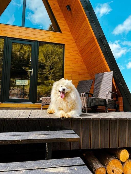 Macko'S Cabin Băile Tusnad Εξωτερικό φωτογραφία